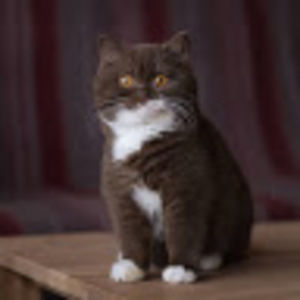 Meet your Posher, Katelyn